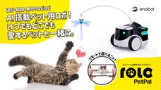 ペットの見守りや遊び、おやつもあげたり。飼主の相棒に、AIロボット｜ROLA