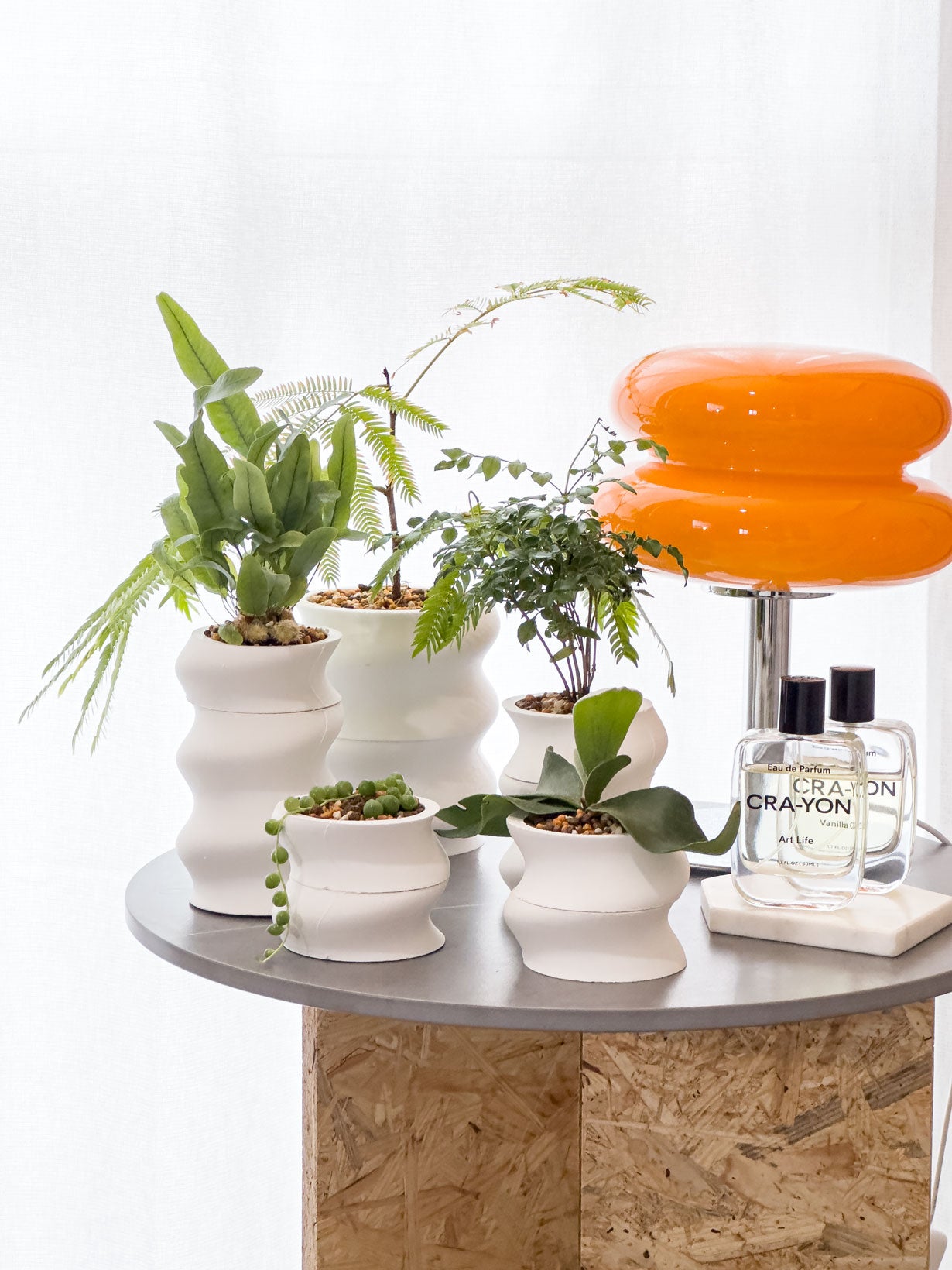 デザイン賞受賞のデザイナーが生んだ、「魅せる鉢」ブランドの始動