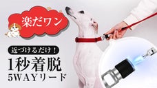 【カチッと1秒着脱】マグネットで瞬間着脱できる5WAYな「マルチペット用リード」