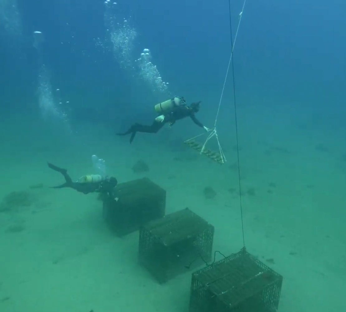 Makuake｜世界自然遺産・奄美大島の海で造るサステナブルな「海底熟成