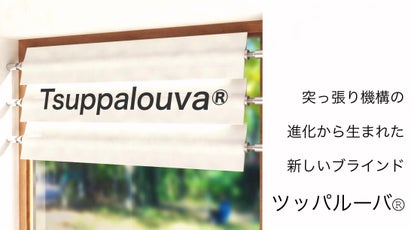 ブラインドの困りごと 突っ張り機構 Tsuppalouva でオシャレに解決 マクアケ - アタラシイものや体験の応援購入サービス