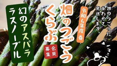 たかちゃん様 アスパラ普通苗×5 あなたもプロの農家アスパラ育て方