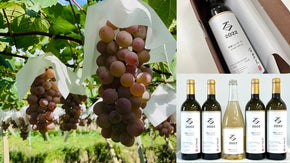 甲州ワインの美味しさを広めたい！～新酒、出来ました！「百農民2022」～