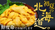 北海道で30年培った目利き　本気の贅沢海鮮を全国へ届けたい