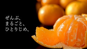 デコリンとみかんのオーナー制度。プロ達が厳選した木から収穫した完熟柑橘をお届け！