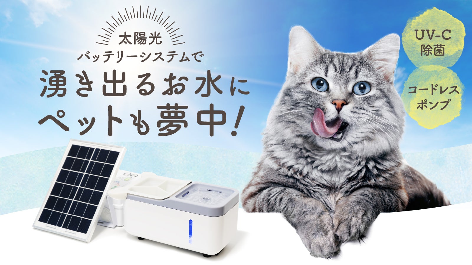 main_40422.jpg?version=