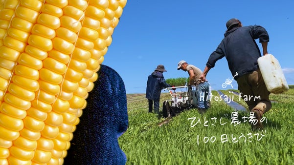 北海道・ひとさじ農場の100日とうきび【2024・陽の畑】朝もぎ直送とうもろこし
