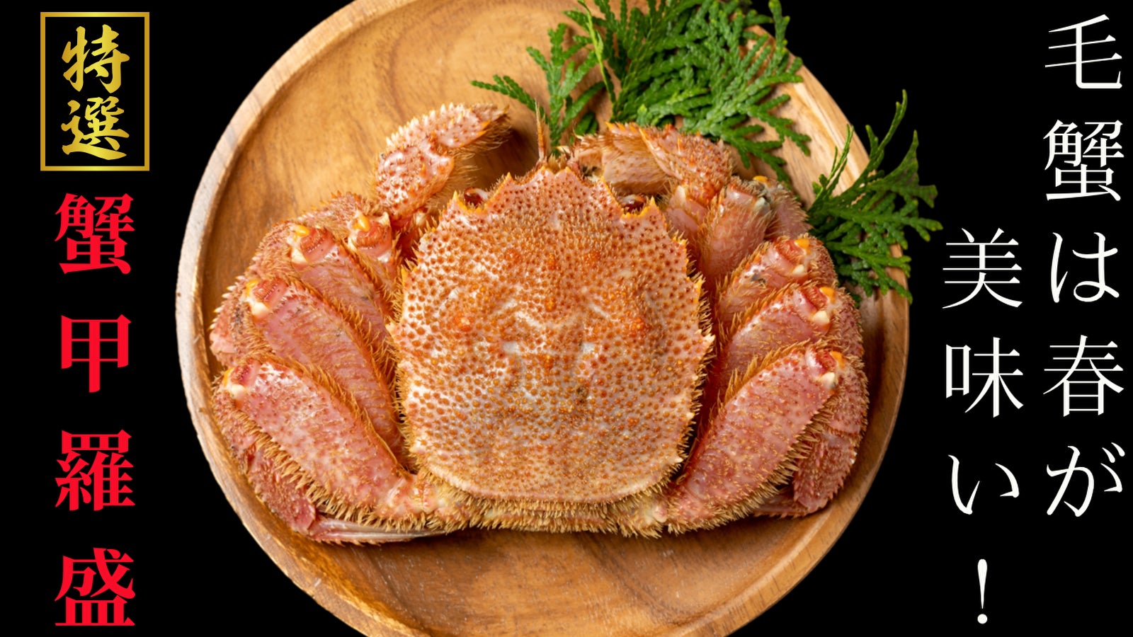 株式会社弘成 のプロジェクト｜マクアケ - アタラシイものや体験の応援