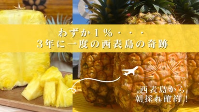 main_40450.png?version=