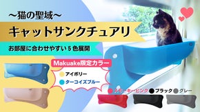 猫ちゃんに陽だまりの特等席を！進化した窓際猫ベッド『キャットサンクチュアリ』