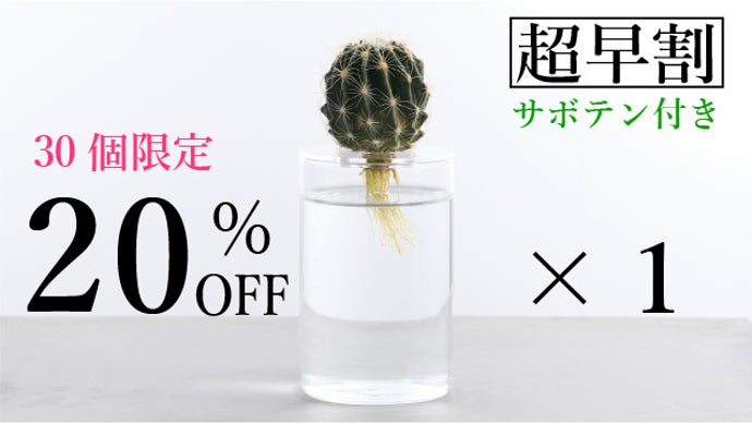 サボテンの新しい育て方！インテリアとしても最適！初心者でも失敗の