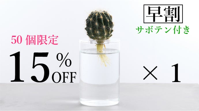 サボテンの新しい育て方！インテリアとしても最適！初心者でも失敗の