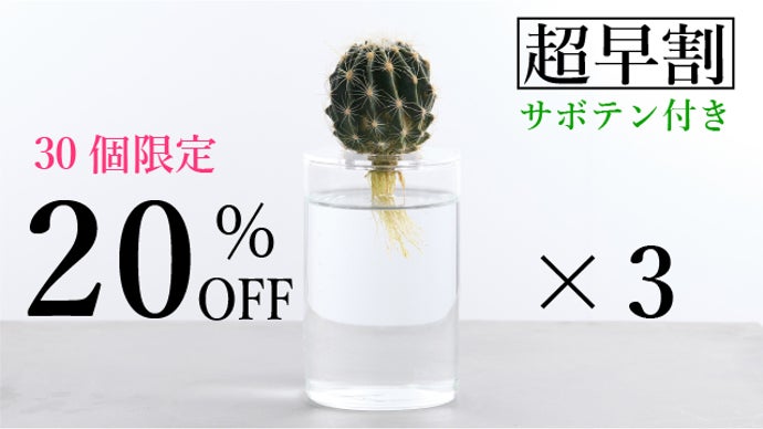 サボテンの新しい育て方！インテリアとしても最適！初心者でも失敗の