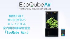 植物を育てるだけでなく室内の空気もキレイにする「EcoQube Air 」