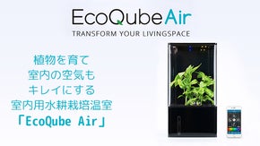 植物を育てるだけでなく室内の空気もキレイにする「EcoQube Air 」