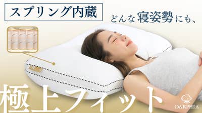 DARPHILA ポケットスプリング枕 枕×スプリング】抜群の弾力!だから寝返りスムーズ。『新感覚