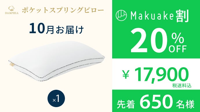DARPHILA ポケットスプリング枕 枕×スプリング】抜群の弾力！だから寝返りスムーズ。『新感覚
