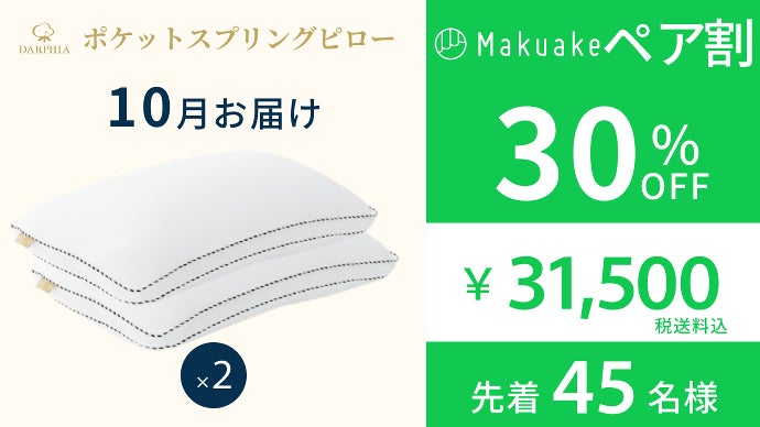 DARPHILA ポケットスプリング枕 枕×スプリング】抜群の弾力！だから