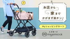 重い荷物も、まとめ買いも『超楽チン』軽量&小さく畳める、私専用ショッピングカート