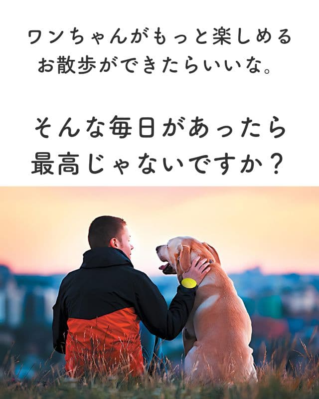 両手が使えるリード【Lishinuリシニュー】犬好きのお散歩がもっと自由