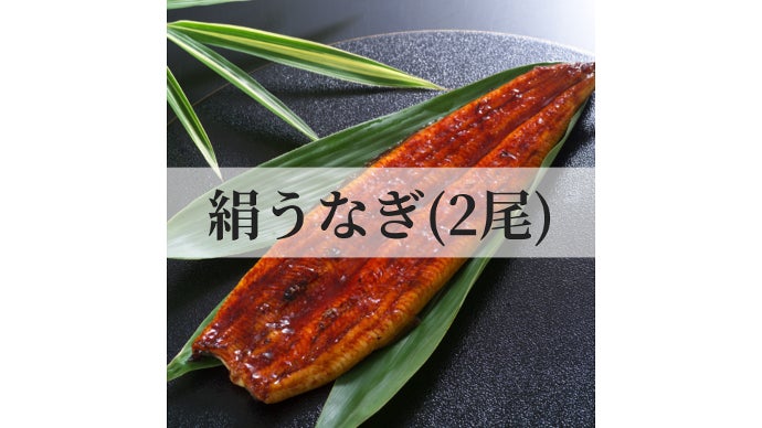 うなぎ 鹿児島県産 「山田のうなぎ」130g 1尾（ご自宅用） | ネットdeグラン