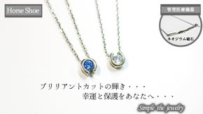 お洒落な馬蹄型トップの磁気ネックレスで健康と美しさを手に入れる！