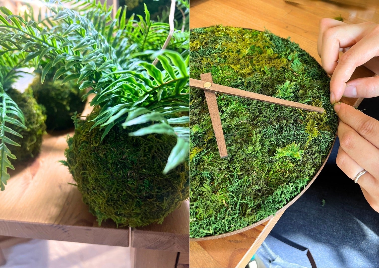 Makuake｜飾るだけ。“空気をキレイにしてくれる” 苔 インテリア【呼吸