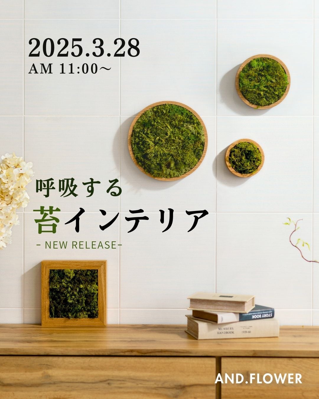 飾るだけ。“空気をキレイにしてくれる” 苔 インテリア【呼吸するアート