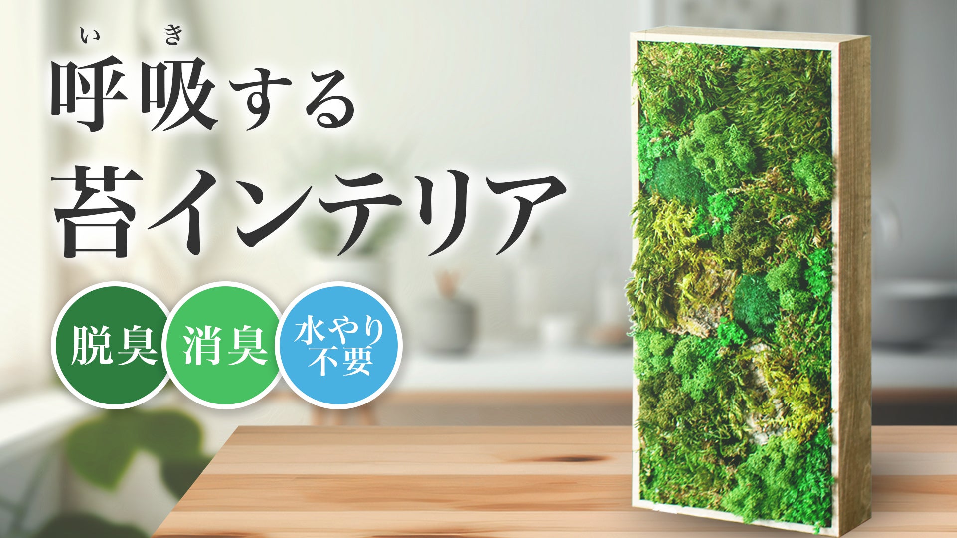 ❣️苔アート❣️苔壁ワイド❣️1点物❣️送料込み❣️ 苔アート‼️段差のある苔壁‼️Sp‼️1点物‼️送料