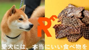 京都の女性猟師がつくる鹿ジャーキー【天然・無添加】