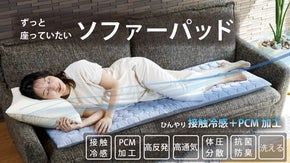 ここから離れたくない！ひんやり＆抗菌防臭ソファーパッド