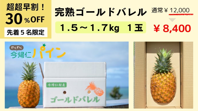 沖縄 農家直送！】国内流通1%の幻パイン「ゴールドバレル」が自宅で