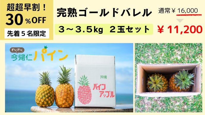 沖縄 農家直送！】国内流通1%の幻パイン「ゴールドバレル」が自宅で