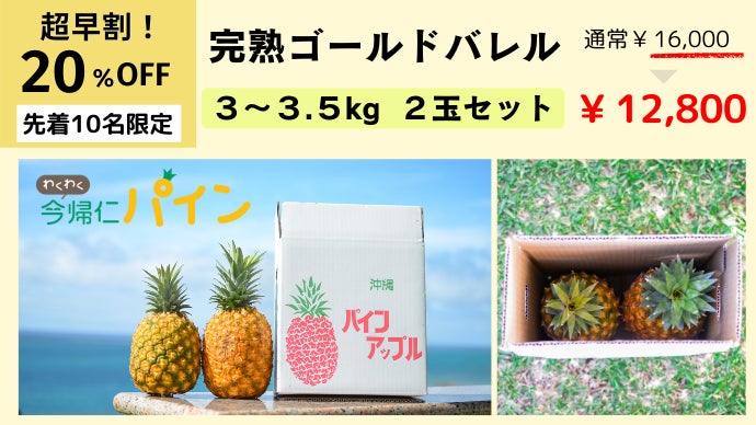 沖縄 農家直送！】国内流通1%の幻パイン「ゴールドバレル」が自宅で