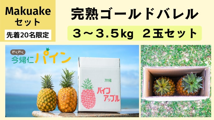 沖縄 農家直送！】国内流通1%の幻パイン「ゴールドバレル」が自宅で