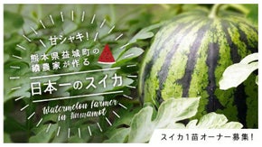 日本一のスイカ生産量を誇る熊本県！益城町・續農家のあま〜いスイカ1苗オーナー募集