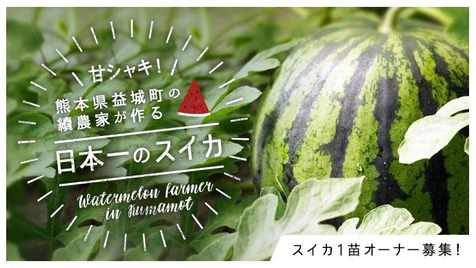 日本一のスイカ生産量を誇る熊本県 益城町 續農家のあま いスイカ1苗オーナー募集 マクアケ アタラシイものや体験の応援購入サービス
