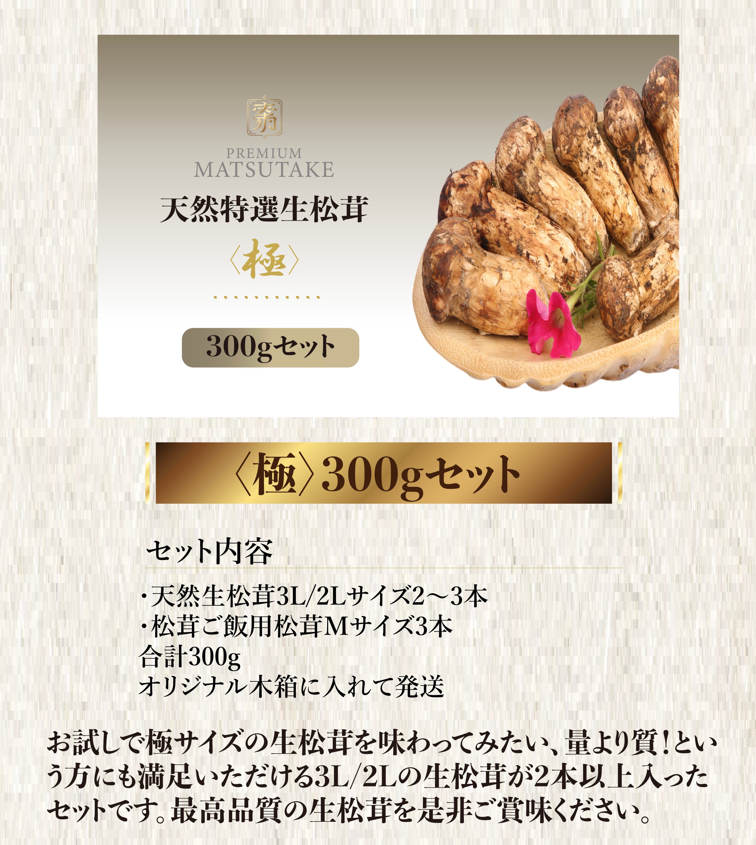 世界最大級の松茸産地から専用ルートで直送。元青果商社プロがお届け