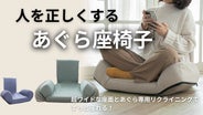 マクアケ　ブラック メッシュバック 座椅子 　2個セット main_41245.png?version=