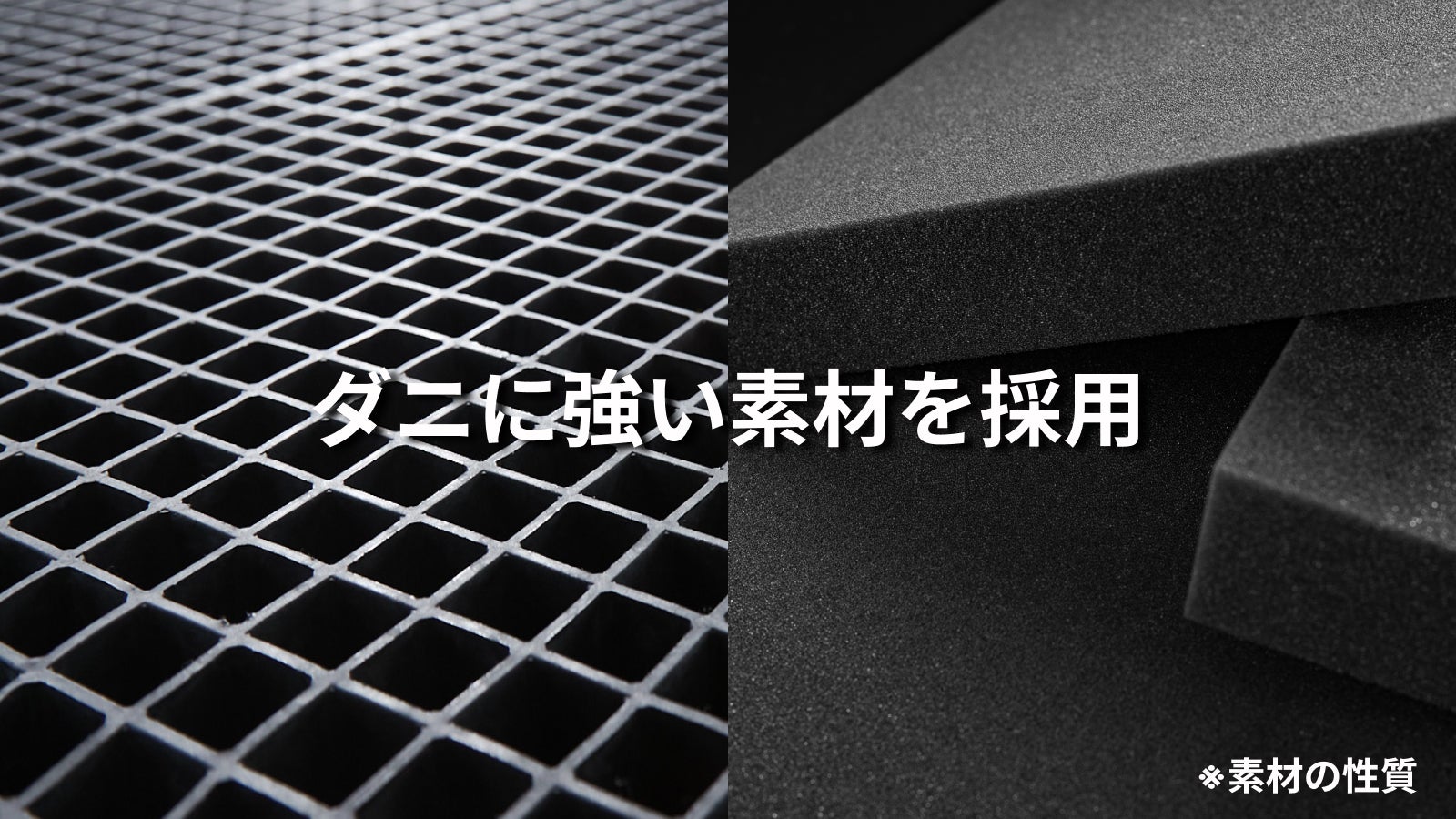 ついに登場】ヒツジ史上最高峰。ぷにょんと新体験!至福の ついに登場】ヒツジ史上最高峰。ぷにょんと新体験!至福の