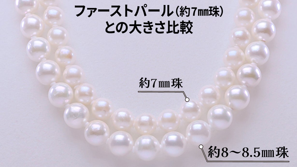 1507560.jpg?version=1721301973