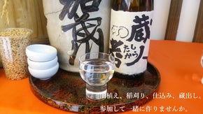 純米大吟醸　蔵人考（くろうどこう）を皆で造ろう!〜酒米栽培と大吟醸醸造の体験〜