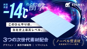 【熱帯夜解放企画】速冷－14℃＜REIWEL＞ どこでも使える敷くだけ冷感