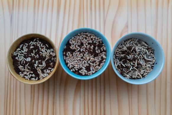 nekokusa 小麦・オーツ麦・えん麦の3種類を食べ比べられる