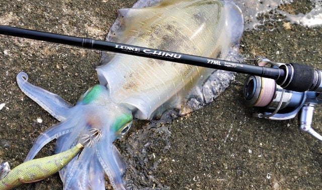 釣りをしたいけど勇気がなくていけない方へ 釣り初心者が集う聖地 みくに隠居処 マクアケ アタラシイものや体験の応援購入サービス