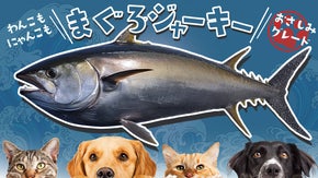 わんこ、にゃんこ用　お刺身用マグロを使用したまぐろジャーキー　犬猫 ペットフード