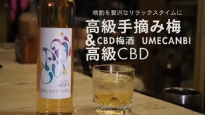 3代目酒問屋の挑戦！ - 伝統と革新の梅酒で癒しの晩酌時間を
