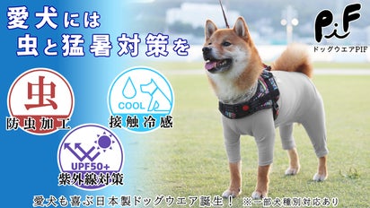 main_41512.jpg?version= 