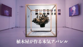 【植木屋が挑む】樹木の知られざる“顔”を活かした、アーティストとのプロダクト制作