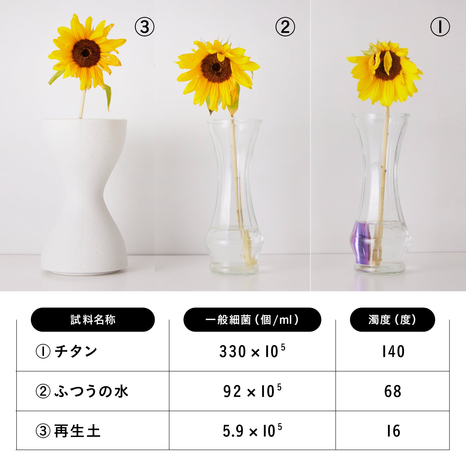 お花の寿命が長持ち！環境に優しい再生土を使用したフラワー